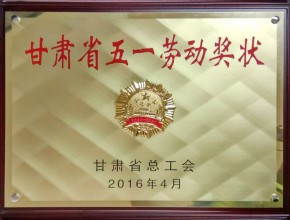 2016年甘肃省五一劳动奖状