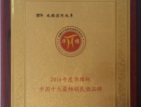 2016年华樽杯中国十大最畅销民酒品牌