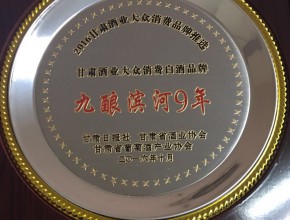 2016年甘肃酒业大众消费品牌推选白酒品牌九酿滨河9年
