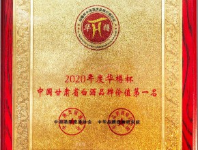 2020年度华樽杯“甘肃省白酒品牌价值第一名”奖牌