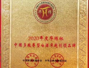 2020年度华樽杯“中国多粮香型白酒卓越创领品牌”奖牌