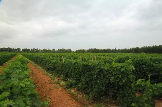 20181127_214234_027.jpg