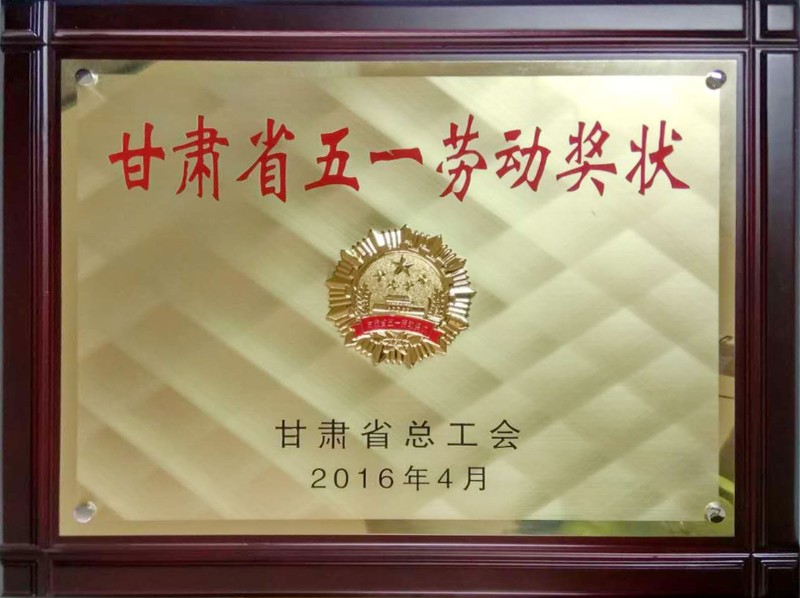 223-2016年甘肃省五一劳动奖状.jpg