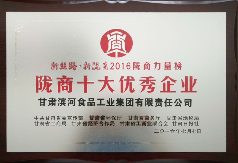 229-2016年陇商十大优秀企业.jpg