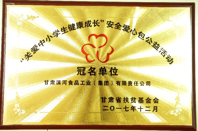 248-“关爱中小学生健康成长”安全爱心包公益活动.jpg