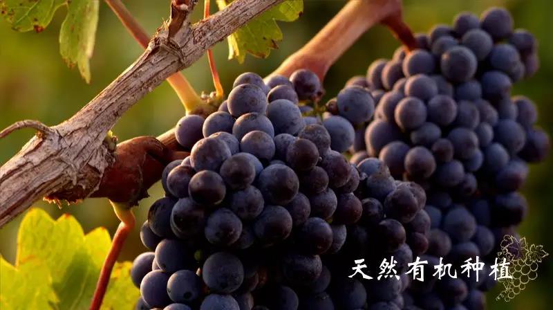 微信图片_20190226164049.jpg