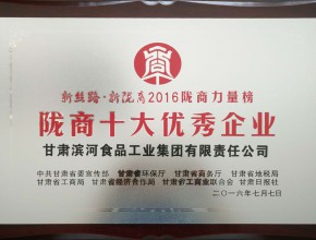 2016年陇商十大优秀企业