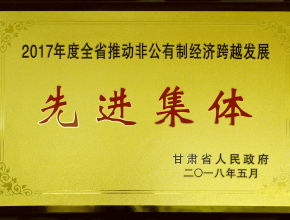 2017年度全省推动非公有制经济跨越发展先进集团
