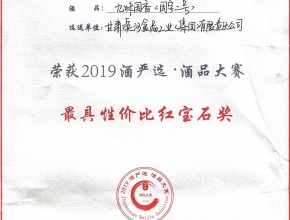 2019九味国香（国字2号）最具性价比红宝石奖